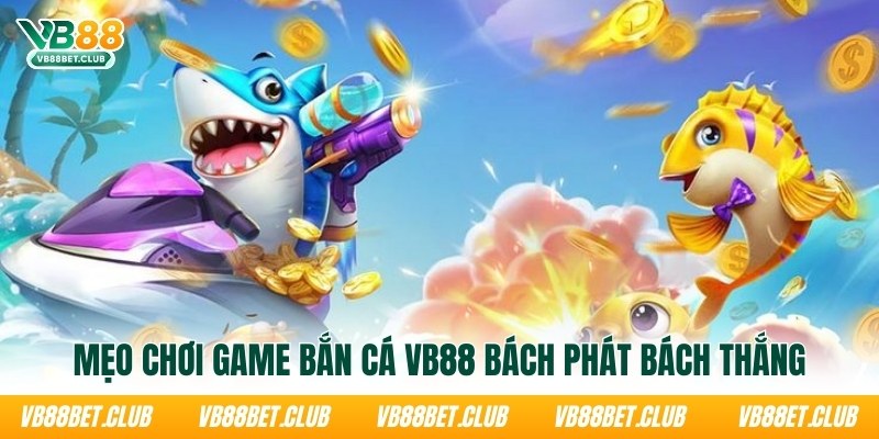 meo-choi-game-ban-ca-vb88-bach-phat-bach-thang